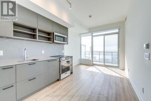 #1513 -135 East Liberty St, Toronto, ON - Indoor Photo Showing Kitchen With Upgraded Kitchen