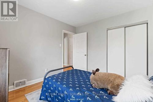 6 Bonnyview Dr, Toronto, ON - Indoor Photo Showing Bedroom