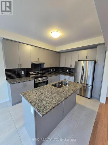 10 Capton Street, Brantford, ON - Indoor Photo Showing Kitchen With Double Sink