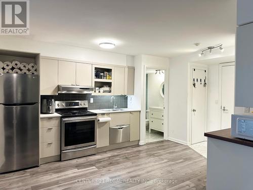 533 - 111 Elizabeth Street, Toronto (Bay Street Corridor), ON - Indoor Photo Showing Kitchen