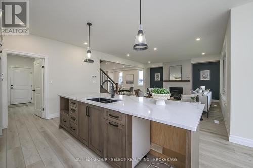 1902 Fountain Grass Drive, London, ON - Indoor Photo Showing Kitchen With Double Sink