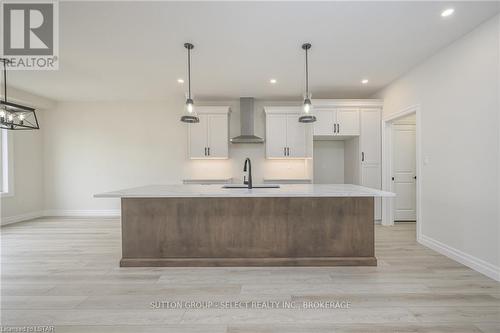 1902 Fountain Grass Drive, London, ON - Indoor Photo Showing Kitchen With Upgraded Kitchen