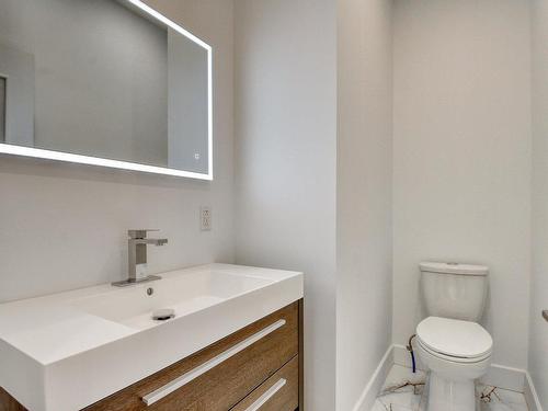 Powder room - 97 Rue Deslauriers, Montréal (Pierrefonds-Roxboro), QC - Indoor Photo Showing Bathroom