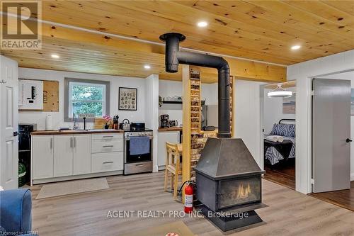 21 Oriole Road, Kawartha Lakes, ON - Indoor With Fireplace