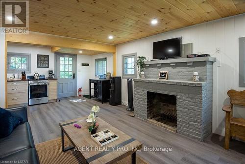 21 Oriole Road, Kawartha Lakes, ON - Indoor Photo Showing Living Room With Fireplace