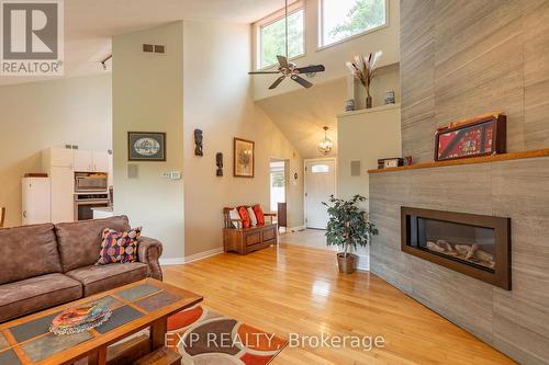 9680 Plank Road, Bayham, ON - Indoor Photo Showing Living Room With Fireplace