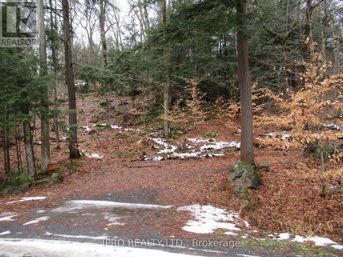 1063 Lakeview Road, Muskoka Lakes, ON - Outdoor With View