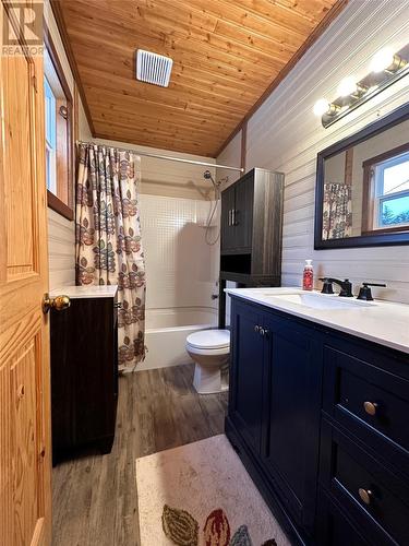 22 Pony Pond Road, Winterland, NL - Indoor Photo Showing Bathroom