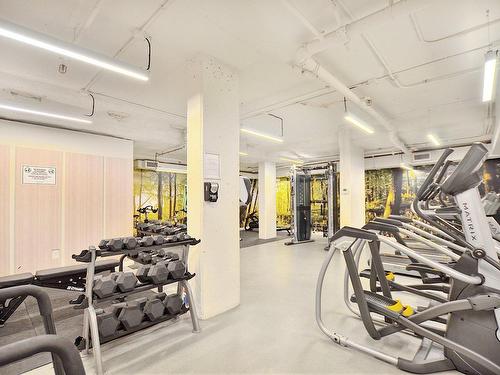 Exercise room - 312-350 Rue Eleanor, Montréal (Le Sud-Ouest), QC - Indoor