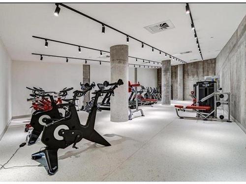 Other - 122-1550 Rue Des Bassins, Montréal (Le Sud-Ouest), QC - Indoor Photo Showing Gym Room