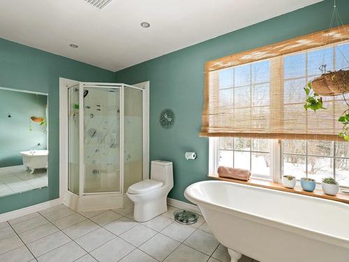 Salle de bains - 46 Mtée De L'Église, Mille-Isles, QC - Indoor Photo Showing Bathroom