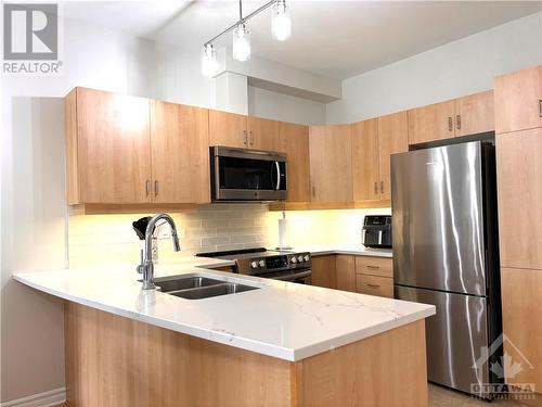 This chef's kitchen was recetly UPDATED with new quartz countertops, new ceramic backsplash. - 330 Royal Fern Way, Ottawa, ON - Indoor Photo Showing Kitchen With Double Sink