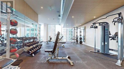 #2105 -135 East Liberty St, Toronto, ON - Indoor Photo Showing Gym Room