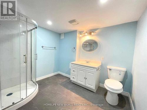 Bsmt - 176 Windsor Street, Oshawa, ON - Indoor Photo Showing Bathroom