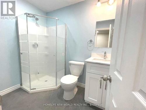 Bsmt - 176 Windsor Street, Oshawa, ON - Indoor Photo Showing Bathroom
