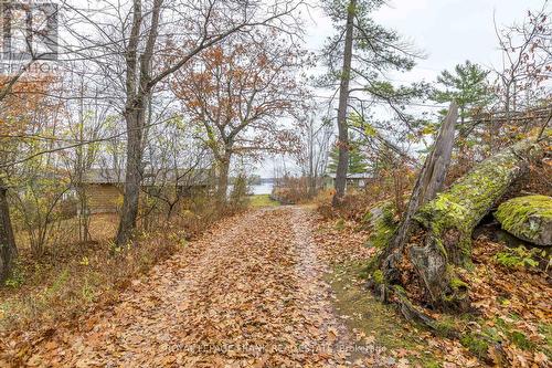 2363 Lakeside Rd, Douro-Dummer, ON - Outdoor With View