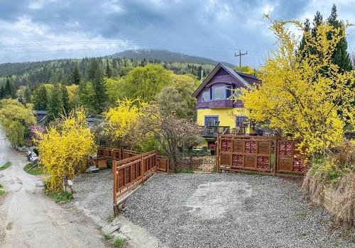 128 Union Street, Nelson, BC - Outdoor With View