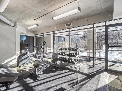 Salle d'exercice - 381 Rue Des Seigneurs, Montréal (Le Sud-Ouest), QC - Indoor Photo Showing Gym Room