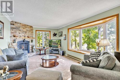 1603 Clark Lane, Asphodel-Norwood, ON - Indoor Photo Showing Living Room With Fireplace
