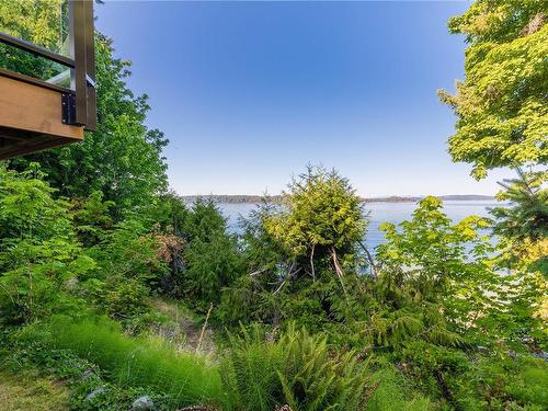 11231 Chemainus Rd, Ladysmith, BC - Outdoor With View