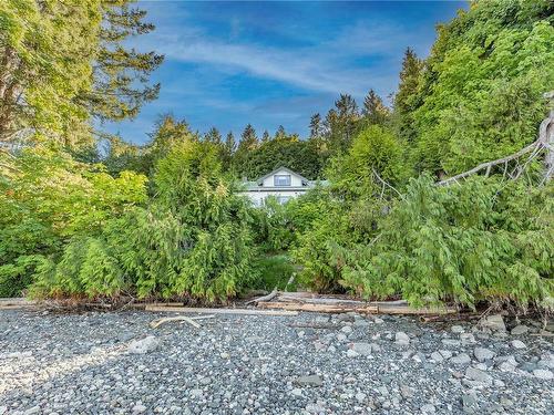 11231 Chemainus Rd, Ladysmith, BC - Outdoor With View