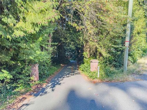 11231 Chemainus Rd, Ladysmith, BC - Outdoor With View