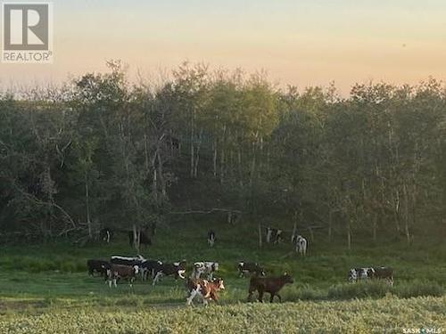 Zomer Dairy, Rosthern Rm No. 403, SK 