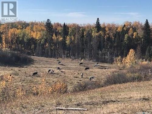 Zomer Dairy, Rosthern Rm No. 403, SK 