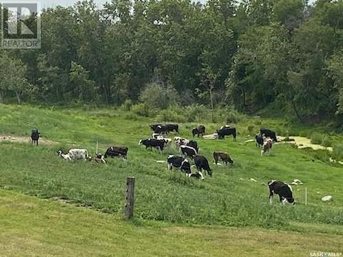 Zomer Dairy, Rosthern Rm No. 403, SK 