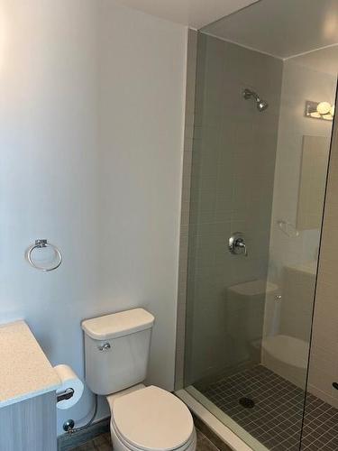 7711 Green Vista Gate|Unit #619, Niagara Falls, ON - Indoor Photo Showing Bathroom