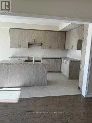 21 Molnar Cres, Brantford, ON - Indoor Photo Showing Kitchen With Double Sink