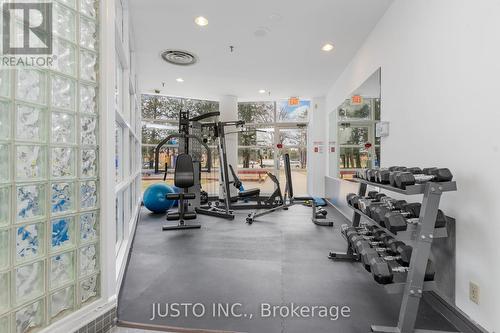 205 - 25 Trailwood Drive, Mississauga, ON - Indoor Photo Showing Gym Room