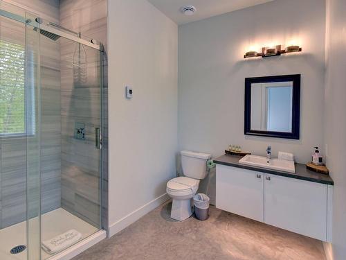 Salle de bains - 150 Rue Du Denali, La Conception, QC - Indoor Photo Showing Bathroom