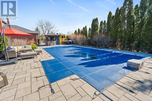 17 Oak Ridge Dr, Halton Hills, ON - Outdoor With In Ground Pool With Backyard