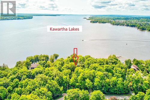 317 Riverside Drive, Kawartha Lakes, ON - Outdoor With Body Of Water With View