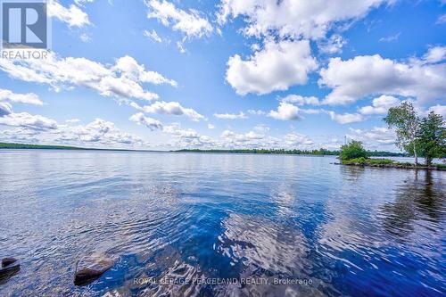 317 Riverside Drive, Kawartha Lakes, ON - Outdoor With Body Of Water With View