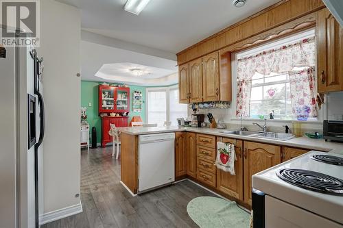 20 Harbour Drive, Brigus, NL - Indoor Photo Showing Kitchen With Double Sink