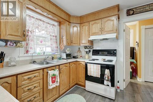 20 Harbour Drive, Brigus, NL - Indoor Photo Showing Kitchen With Double Sink