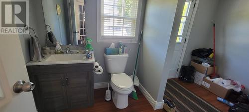 13 Johnny Jims Road, Jacques Fontaine, NL - Indoor Photo Showing Bathroom