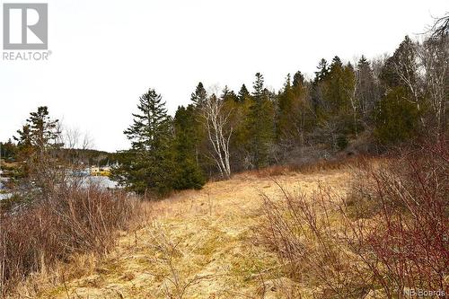 343-345 Head Harbour Road, Wilsons Beach, NB - Outdoor With View