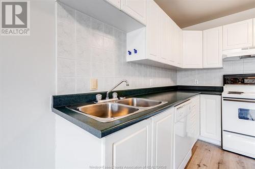 44 Robson Road Unit# 216, Leamington, ON - Indoor Photo Showing Kitchen With Double Sink