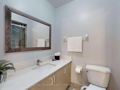 36 Mccleave Cres, Brampton, ON - Indoor Photo Showing Bathroom
