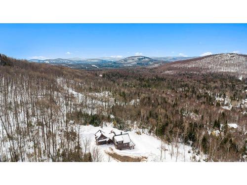 Overall view - 104 Ch. Brunette, Lac-Supérieur, QC - Outdoor With View