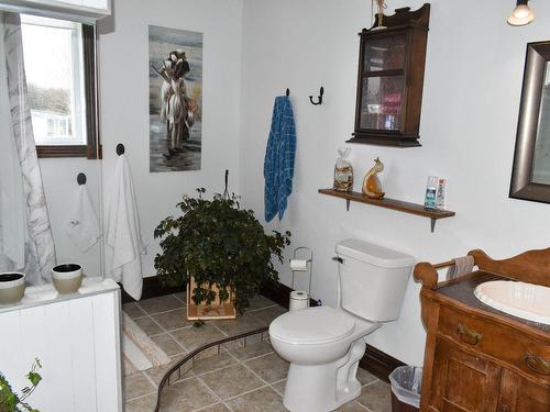 Salle de bains - 2085  - 2095 Rue Huguette, Drummondville, QC - Indoor Photo Showing Bathroom