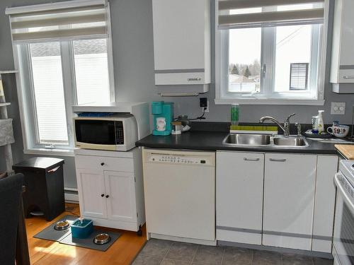 Logement - 2085  - 2095 Rue Huguette, Drummondville, QC - Indoor Photo Showing Kitchen With Double Sink