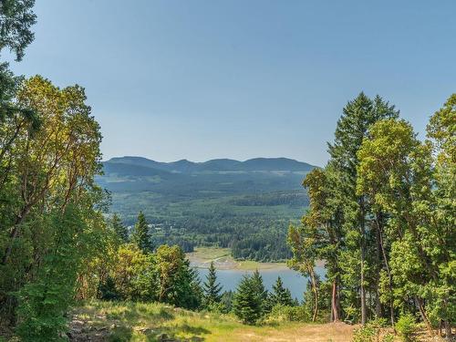 5155 Aho Rd, Ladysmith, BC - Outdoor With Body Of Water With View