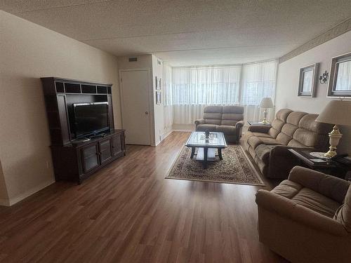 207 500 Toledo Street, Thunder Bay, ON - Indoor Photo Showing Living Room
