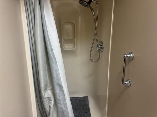 207 500 Toledo Street, Thunder Bay, ON - Indoor Photo Showing Bathroom