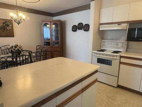 207 500 Toledo Street, Thunder Bay, ON - Indoor Photo Showing Kitchen