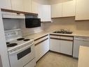 207 500 Toledo Street, Thunder Bay, ON  - Indoor Photo Showing Kitchen With Double Sink 